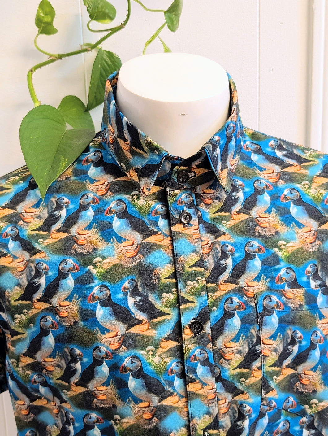 Button Down. Puffins